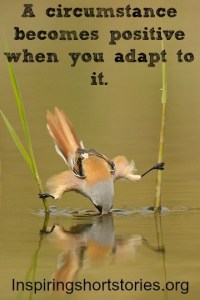 Lessons Learned from my daughter