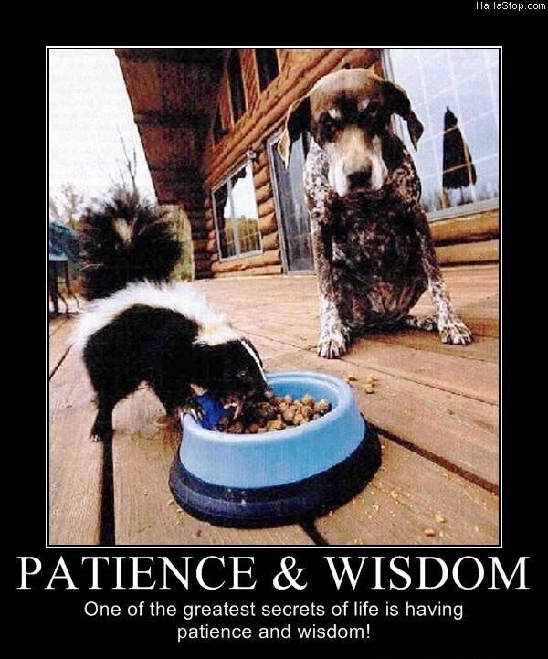 patience and wisdom