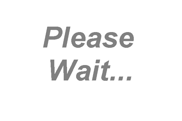 please wait