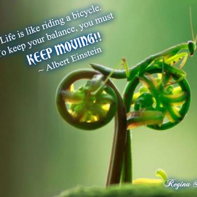life is like a bicycle
