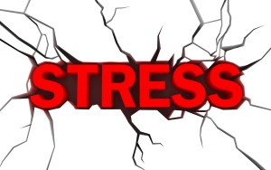 Stress1