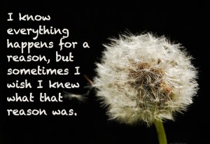 Wishes 1