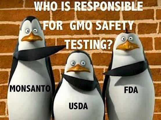 GMO safety-testing
