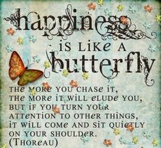 happiness is a butterfly