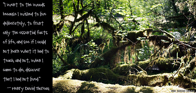 thoreau-i-wished-to-live-deliberately