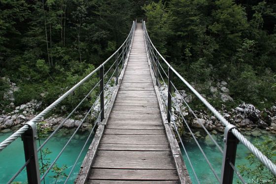 wooden bridge