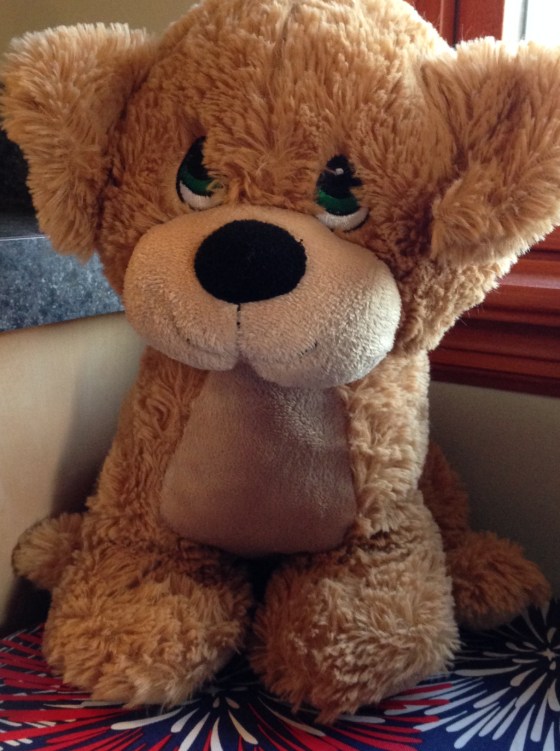 MRI Dog (Rocky) always helps too...