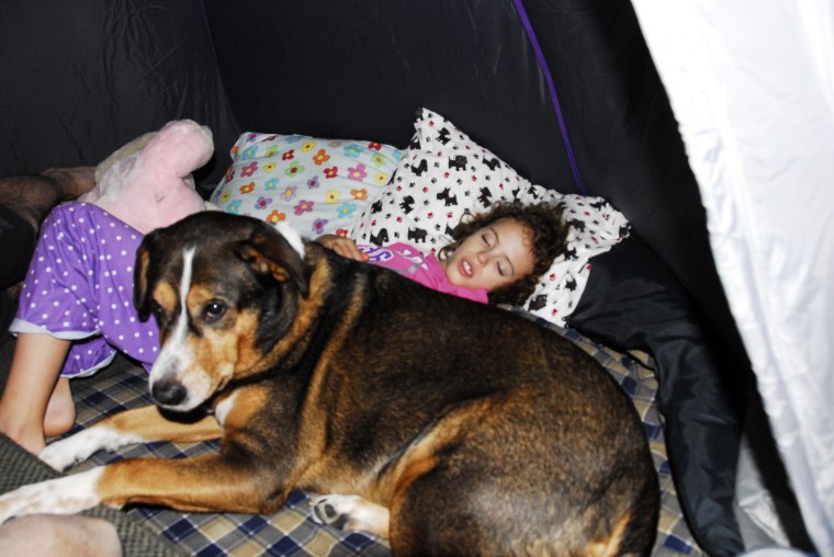 Allie always watched over her human sister.