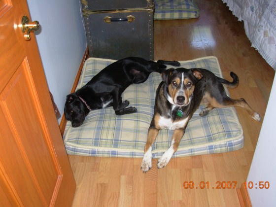 Just a week or so after they met. 