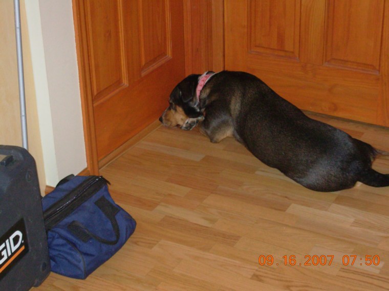 Allie waiting until Felix wakes up