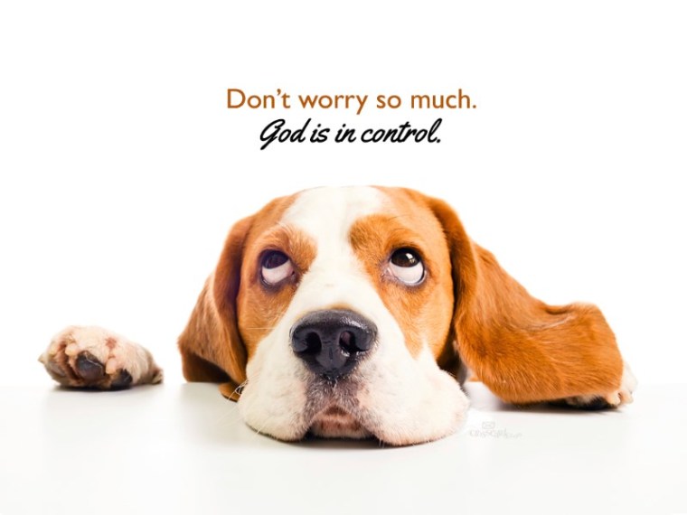 18010-dont-worry-800x600